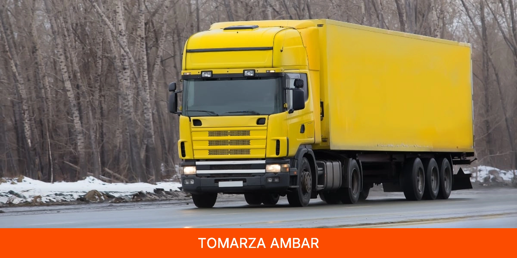 Tomarza Ambar