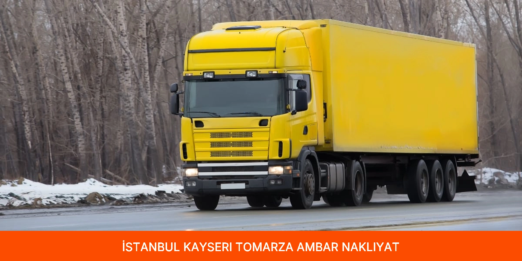 Tomarza Ambar